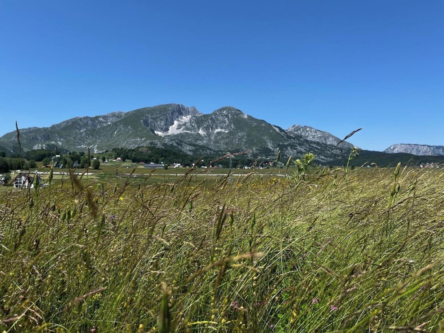 Mountain Peaceful Cottages Žabljak Kültér fotó
