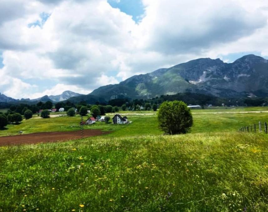 Mountain Peaceful Cottages Žabljak Kültér fotó